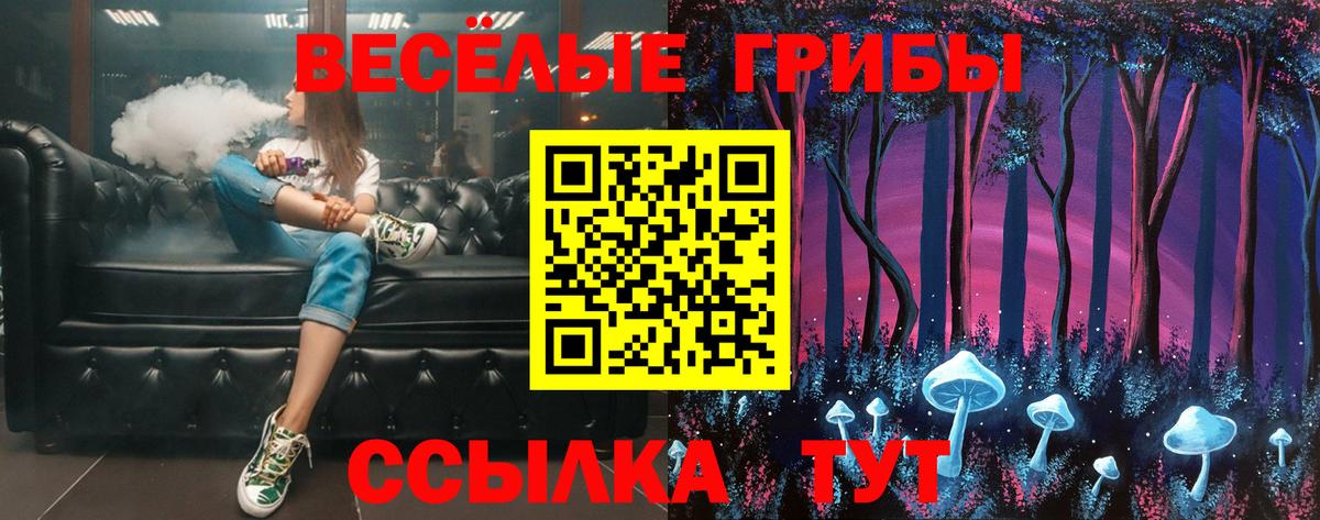 Мыски  Псилоцибиновые грибы мухоморы  Вход с VPN 
