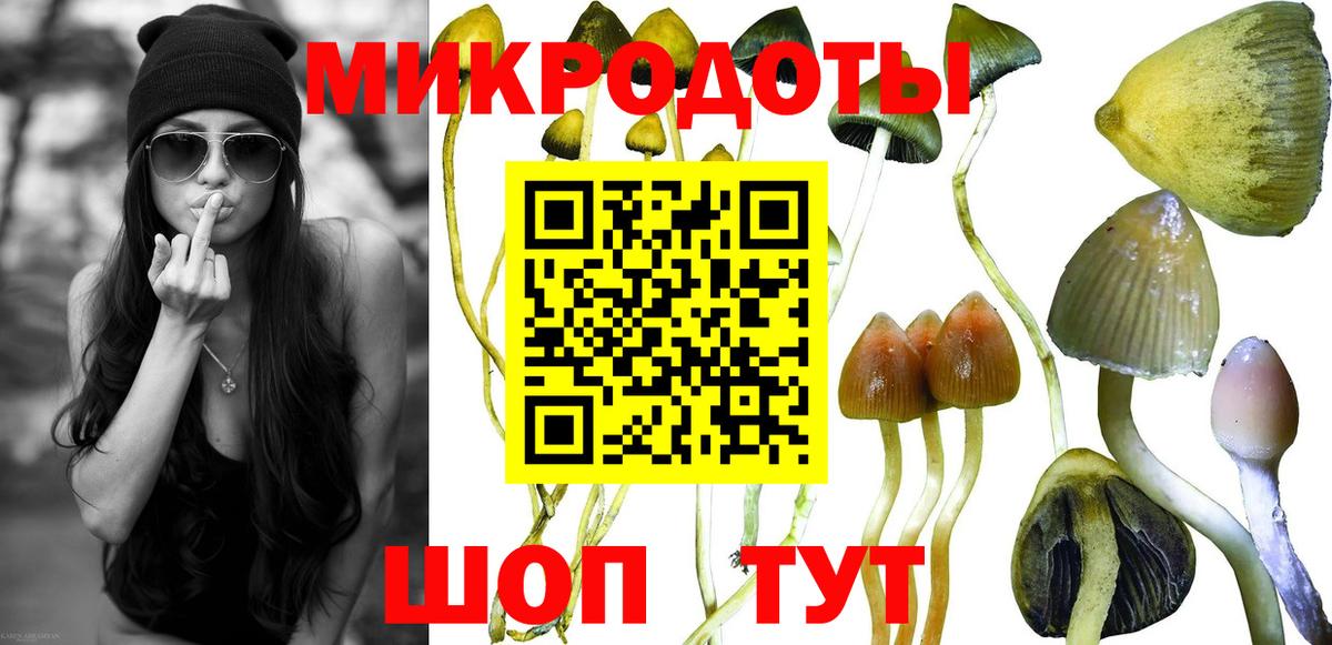 Галлюциногенные грибы Psilocybine cubensis Мыски